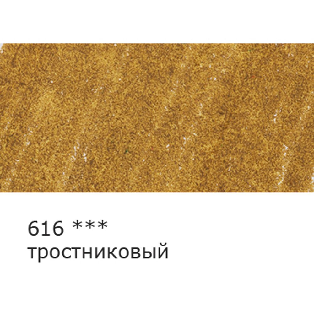 Карандаш цветной заточенный, 6 шт, 616 тростниковый, Vista-Artista INTENSE VICP