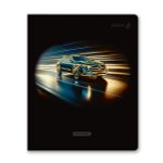 Тетрадь ученическая общая, тиснение золотой фольгой, A5 48 л. на скобе 65 г/м², белизна 100% 10 шт клетка, 01516 Радость победы, Светоч Т199