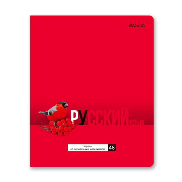 Тетрадь со справочным материалом ПреКрасная, матовая ламинация + выборочный лак, A5+ 48 л. на скобе 65 г/м², белизна 100%, 10 шт, линия, 000553 Русский язык, Светоч 48ТПСК5_24_2_2