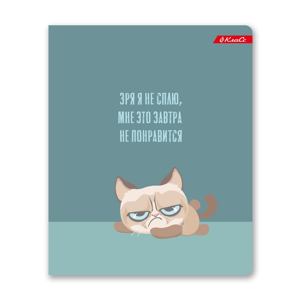Тетрадь ученическая общая, софт тач, A5+ 96 л. на скобе, белизна 100%, 5 шт, клетка, 000350 Кот-пофигист, Светоч 96ТСК5_12_3_1