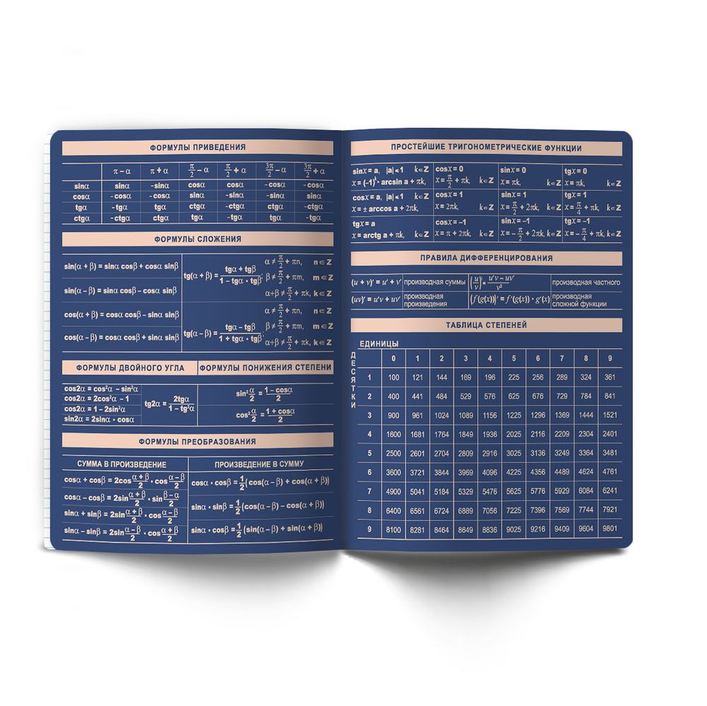 Комплект тетрадей со справочными материалами Лёгким почерком, софт-тач ламинация, A5 48 л. 12 шт на скобе 65 г/м², белизна 100% 1 шт, клетка/линия, 01886 12 предметов, Светоч Т297