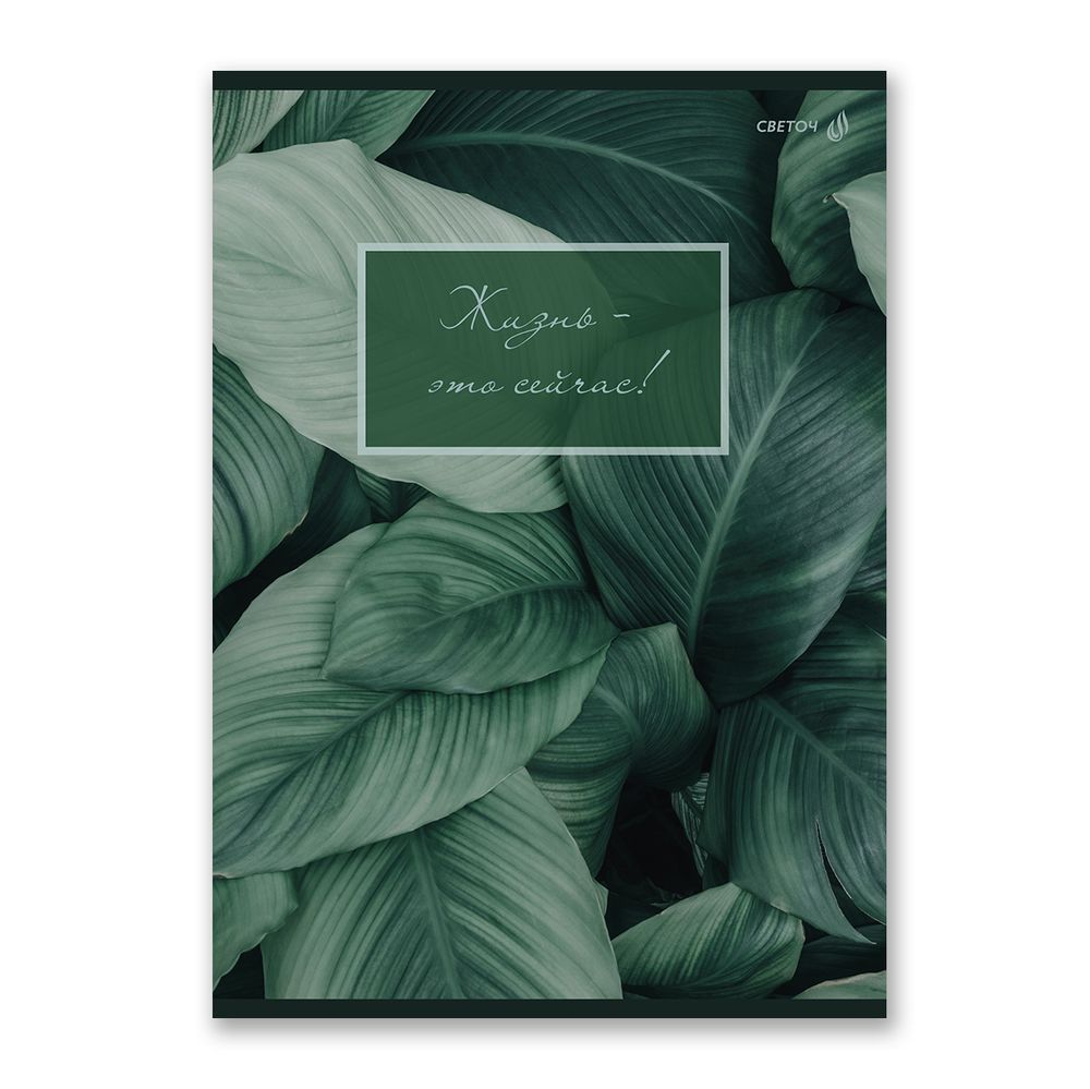 Тетрадь ученическая общая, A4 48 л. на скобе 65 г/м², белизна 100% 6 шт клетка, 01753 Малахитовая симфония, Светоч Т152