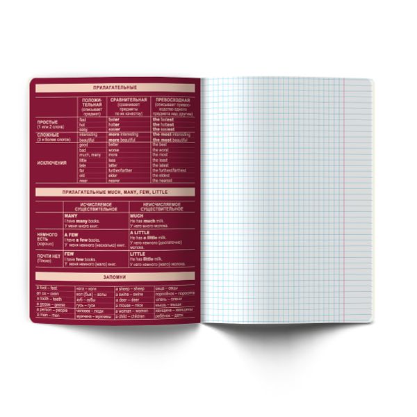 Тетрадь со справочным материалом Лёгким почерком, софт-тач ламинация, A5 48 л. на скобе 65 г/м², белизна 100% 10 шт, клетка, 01836 Лёгким почерком Английский язык, Светоч Т284