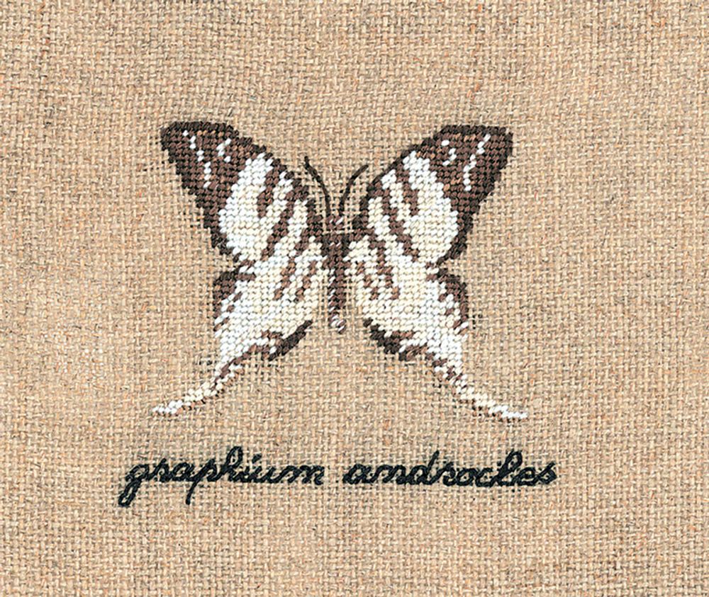 Le Bonheur des Dames, Papillon: Graphium (Бабочка Graphium), 5х5,5 см
