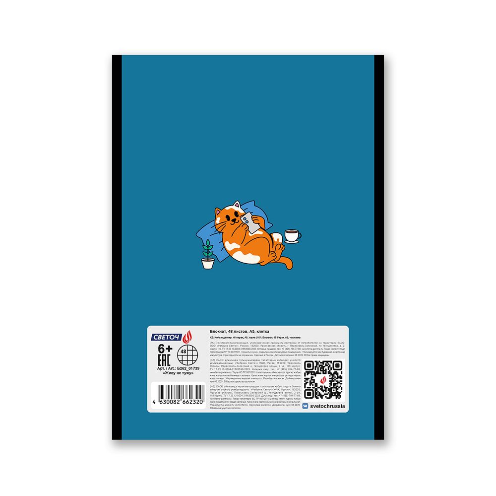 Блокнот на скобе, A5 48 л. 12 шт клетка, Живу не тужу 01739, Б262 Светоч