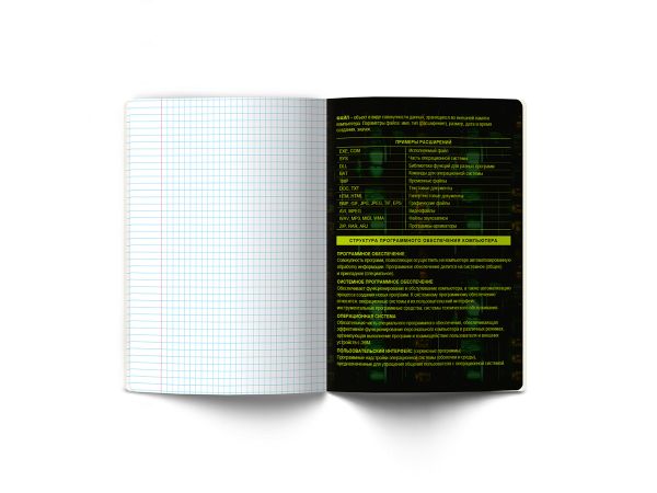 Тетрадь со справочным материалом Эволюция, глянцевая ламинация, A5+ 48 л. на скобе 65 г/м², белизна 100%, 10 шт, клетка, 00885 Информатика, Светоч 48Т5