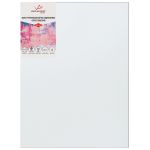 Холст грунтованный на подрамнике 30х35 см, 340 г/м², 2 шт, мелкозернистый, Vista-Artista PLFG-3035