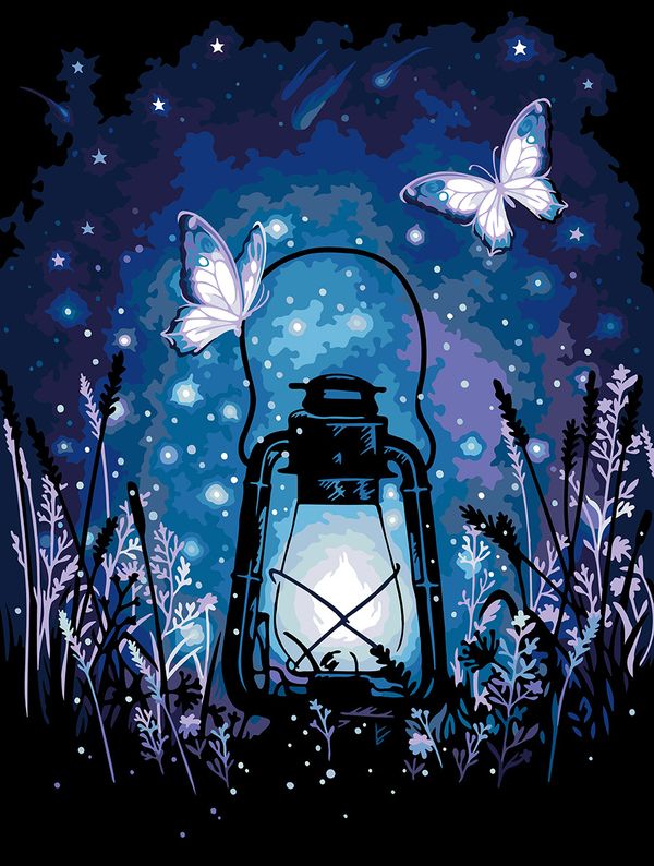 Картина по номерам Фрея PNB/PMDD-292, Магический свет, (со светодиодами) 40х30 см