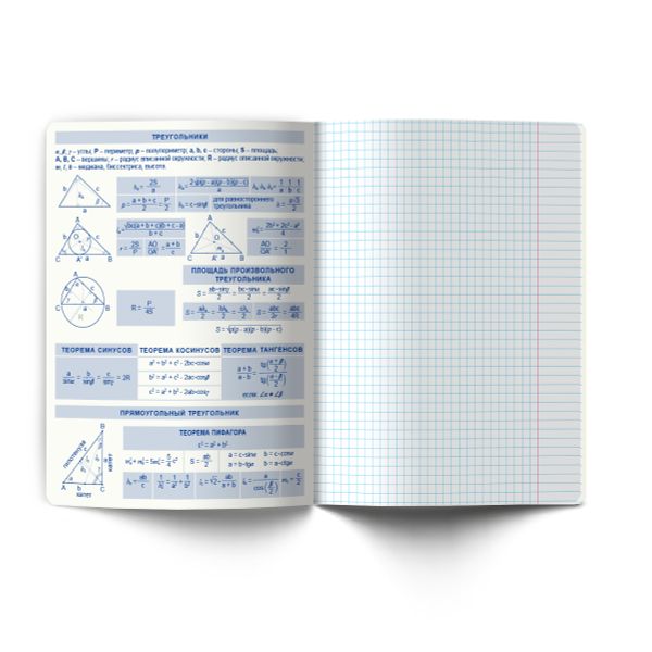 Тетрадь со справочным материалом Огромный мир внутри, A5 48 л. на скобе 60 г/м², белизна 90% 10 шт клетка, 01803 Огромный мир внутри Геометрия, Светоч Т278