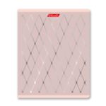 Тетрадь ученическая общая, матовая ламинация + тиснение серебряной фольгой, A5+ 48 л. на скобе 65 г/м², белизна 100%, 10 шт, клетка в термоусадочной пленке, 000743 Серебряная мечта, Светоч 48ТЕТк-007