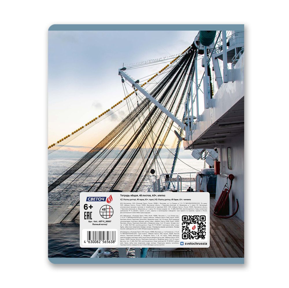 Тетрадь ученическая общая, глянцевая ламинация, A5+ 48 л. на скобе 65 г/м², белизна 100 %, 10 шт, клетка, 00997 Полный котец!, Светоч 48Т11