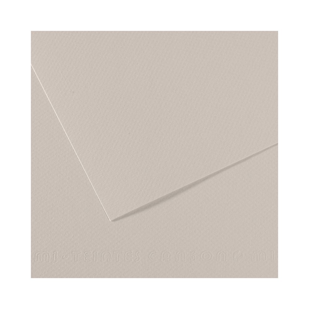 Бумага для пастели 160 г/м², 75х110 см, 25 листов, №120 жемчужно-серый, Canson Mi-Teintes C200321357