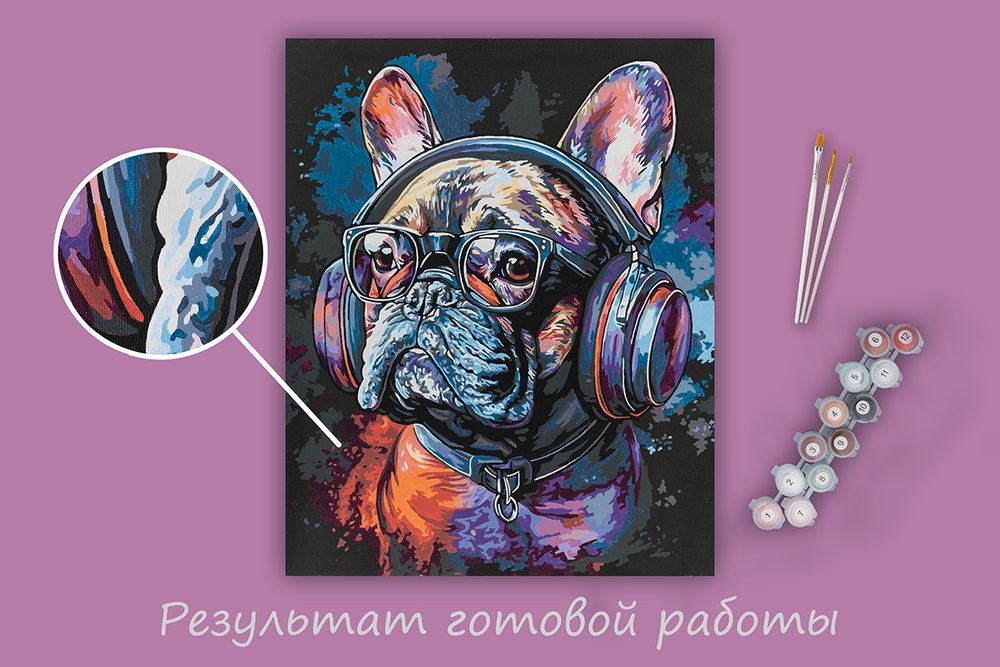 Картина по номерам Фрея PNB/PLB-290, Стильный бульдог, (эффект черного холста) 50х40 см