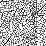 Текстурный лист Craft&Clay TSN, 25 Паутина