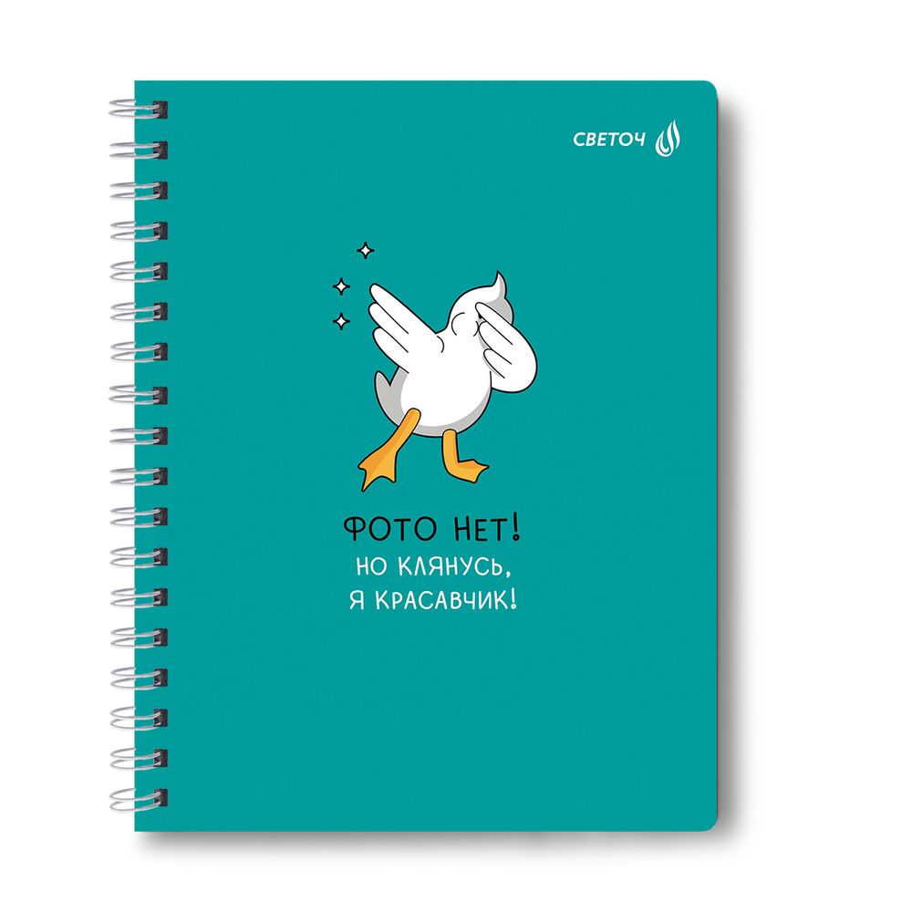 Тетрадь ученическая общая, A5 48 л. на гребне 65 г/м², белизна 100 %, 8 шт, клетка, 01171 МИКС - Мечты сбываются, Светоч Т107