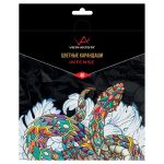 Набор цветных карандашей заточенный 4х48 цв, Vista-Artista INTENSE VICP-48