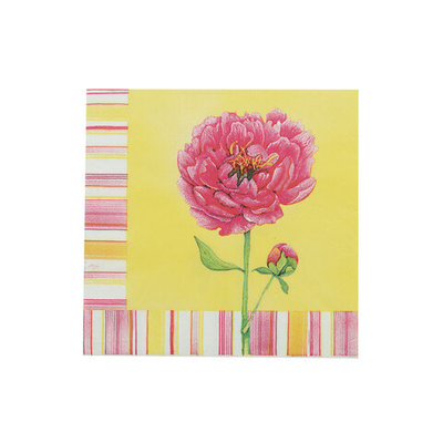 Салфетки 33х33см, 3-х слойные AY, 20 шт/упак (AY-1655)