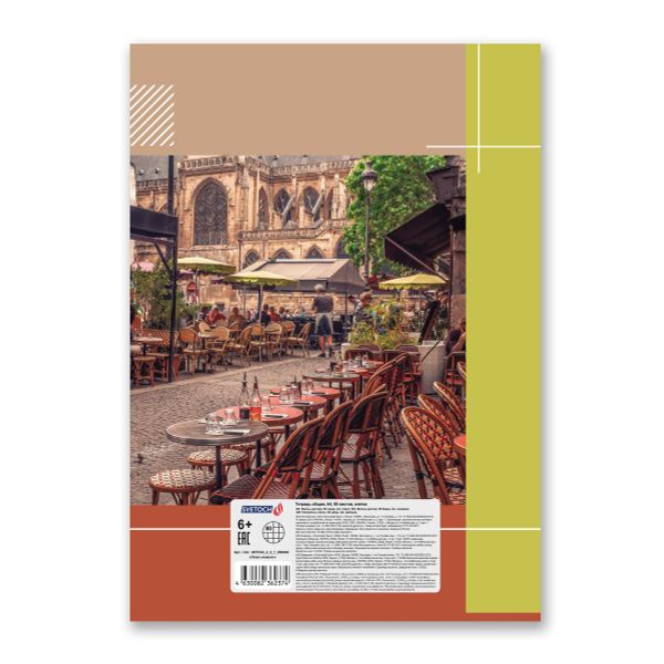 Тетрадь ученическая общая, матовая ламинация, A4 80 л. на скобе 65 г/м², белизна 100%, 6 шт, клетка, 000462 Лови момент, Светоч 80ТСК4_2_2_1