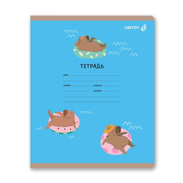 Тетрадь ученическая школьная, выборочный лак, A5 12 л. на скобе 65 г/м², белизна 100% 25 шт клетка, 01405 КапиВажный, Светоч Т87