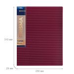 Папка с вкладышами 60 л. A4 700 мкм 25 мм, эффект 3D, 4 шт, рубиновый new EC211800126, Expert Complete EC211800126