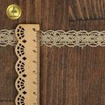 Кружево вязаное (тесьма) 15 мм / 10 метров, D1010, тонкая нить, цв.F308 св.бежевый, Kruzhevo