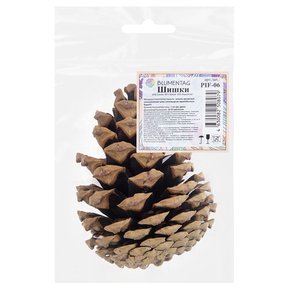 Шишка крымской сосны, 1 шт, 35 г, ± 10 г, 8 см, ± 2, 01, Blumentag PIF-06