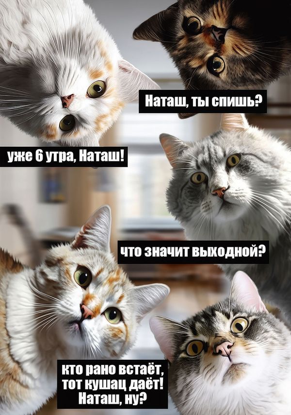 Пазл 500 элементов, Наташа, вставай!, PZL-500/43, Фрея