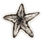 Штамп 5.8х5.8 см, 04 Морская звезда, Mr.Painter TSM-03