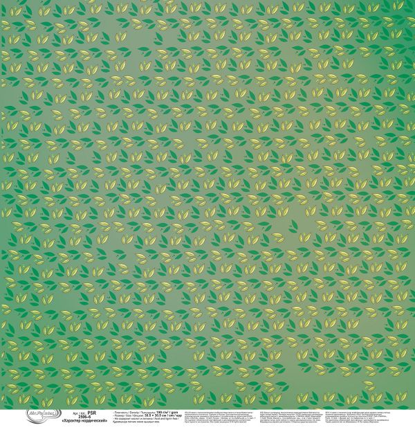 Бумага для скрапбукинга Характер нордический, 190 г/м², 30.5х30.5 см, 10 шт, 6, Mr.Painter PSR 2506