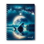 Тетрадь ученическая общая, A5 96 л. на гребне 65 г/м², белизна 100 %, 4 шт, клетка, 01200 Магия заката, Светоч Т115