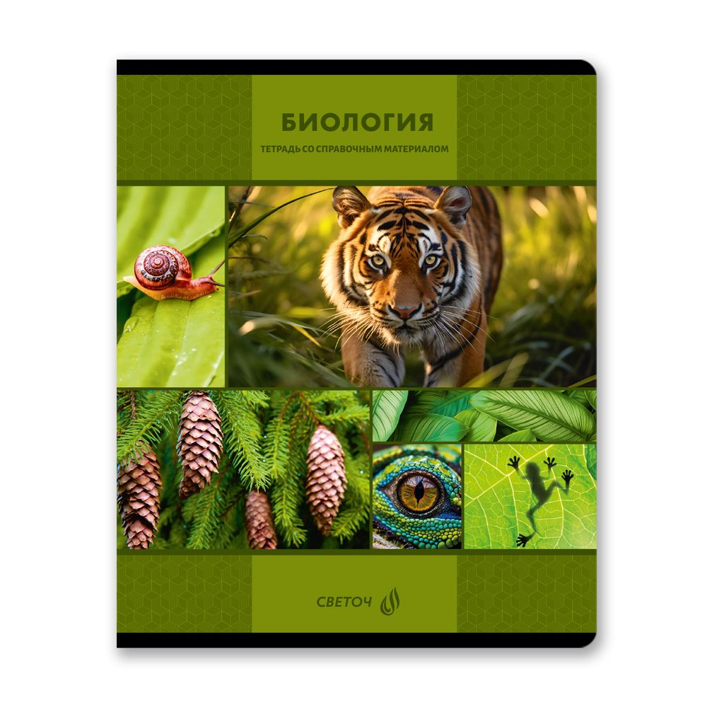 Комплект тетрадей со справоч.материал. "Академия наук", A5 48 л. 12 шт, на скобе 60 г/м², белизна 90 %, 1 шт, клетка/линия, 01334 12 предметов, Светоч, Т147