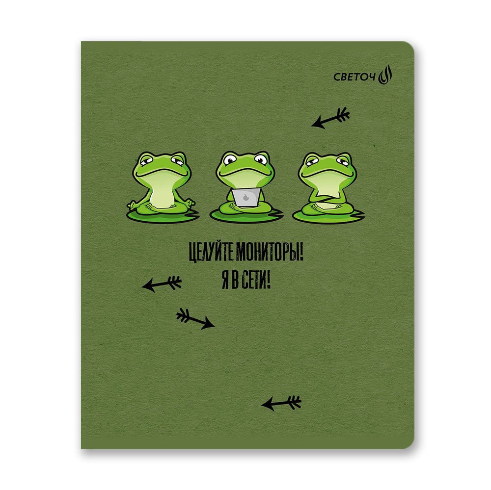 Тетрадь ученическая общая, твин лак, A5+ 48 л. на скобе 65 г/м², белизна 100 %, 10 шт, клетка, 00999 КВАзавры, Светоч 48Т12