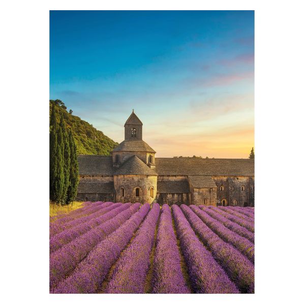 Пазл. Премиальная коллекция 500 элементов, TOP-PZL-500/11 Лаванда аббатства Сенанк, Фрея
