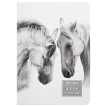 Скетчбук A5 200 г/м², 200 г/м², 20.3х14.5 см, твердый переплет 40 л, 04_Horses in white, Аква-колор IZO-SBS-0740