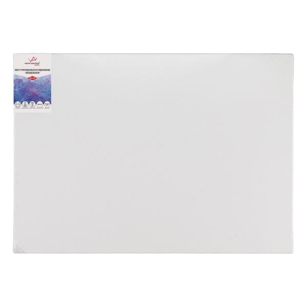 Холст грунтованный на подрамнике 50х70 см, 320 г/м², 2 шт, Плещеевский мелкозернистый, Vista-Artista ACFG-5070