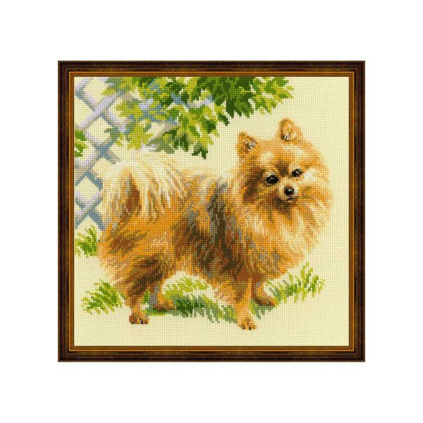 Набор для вышивания нитками Риолис, Малый шпиц, 25х25 см