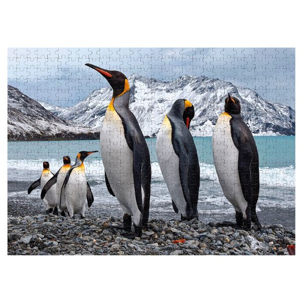 Пазл. Премиальная коллекция 500 элементов, TOP-PZL-500/08 Земля пингвинов, Фрея