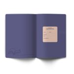 Тетрадь со справочным материалом Лёгким почерком, софт-тач ламинация, A5 48 л. на скобе 65 г/м², белизна 100% 10 шт линия, 01845 Лёгким почерком Литература, Светоч Т285