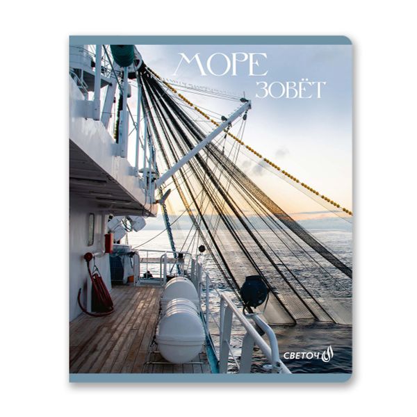 Тетрадь ученическая общая, глянцевая ламинация, A5+ 48 л. на скобе 65 г/м², белизна 100 %, 10 шт, клетка, 00997 Полный котец!, Светоч 48Т11