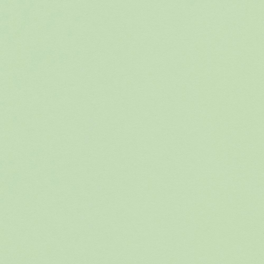 Бумага цветная 120 г/м², A4 21х29.7 см, 50 шт, 12 мятный/mint, Vista-Artista