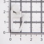 Крючки шторные для карниза 27 мм, ⌀7 мм, роликовые, пластик, белый, 100 шт, (PPA123)