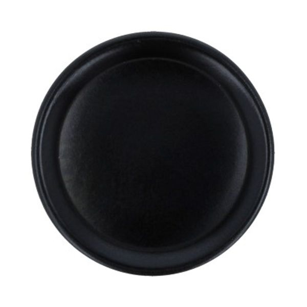 Пуговицы на ножке костюмные 15 мм, 24 шт, А008 черный, Gamma TX 0028