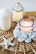 Ракушки декоративные, 3 шт, 6.3 см, Vasum Cornigerum, Zlatka DRF-026