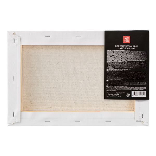 Холст грунтованный на подрамнике 20х30 см, 420 г/м², 2 шт, мелкозернистый, Аква-колор IZO-MCFG-2030