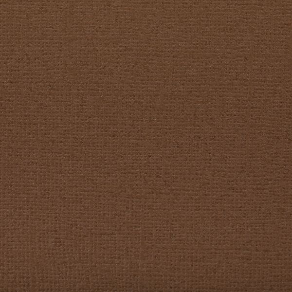 Бумага для скрапбукинга 216 г/м², 30.5х30.5 см, 10 шт, 56 Фундук (коричневый), Mr.Painter PST