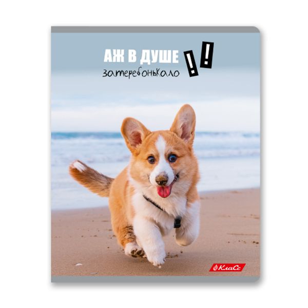 Тетрадь ученическая общая, A5+ 48 л. на скобе 65 г/м², белизна 100%, 10 шт, клетка в термоусадочной пленке, 000752 Смешные и шерстяные, Светоч 48ТЕТк-001