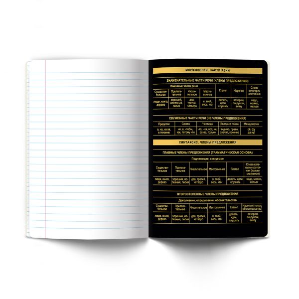 Тетрадь со справочным материалом Золотая коллекция, тиснение золотой фольгой, A5+ 48 л. на скобе 65 г/м², белизна 100 %, 10 шт, линия, 01329 Золотая коллекция Русский язык, Светоч Т146