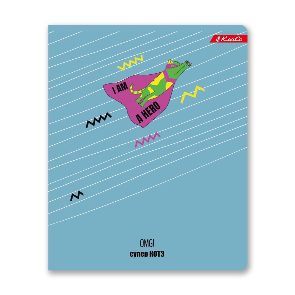 Тетрадь ученическая общая, матовая ламинация + выборочный УФ лак, A5+ 48 л. на скобе, белизна 100%, 10 шт, клетка, 000326 Суперкот, Светоч 48ТСК5_24_3_1