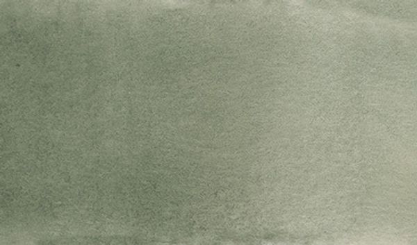 Краска акварель художественная, кювета 2.5 мл, 638 серо-зеленая, Vista-Artista VAW