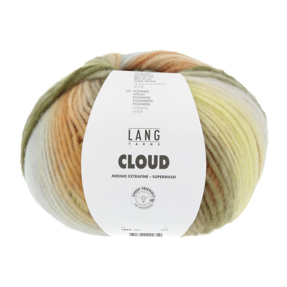 Пряжа Lang Yarns (Ланг Ярнс) Cloud / уп.10 мот. по 100 г, 260м, 801